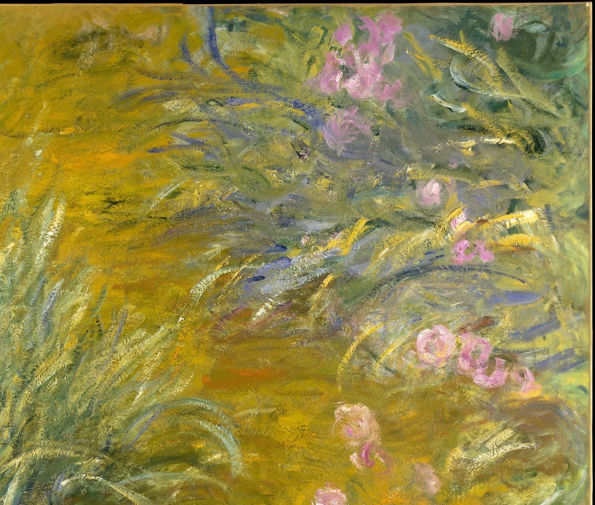 The vibrant yellow background shows strong sunlight.