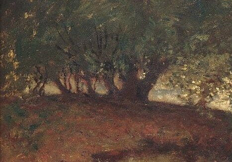Its dense foliage and drooping branches create a sense of natural enclosure and perhaps melancholy.