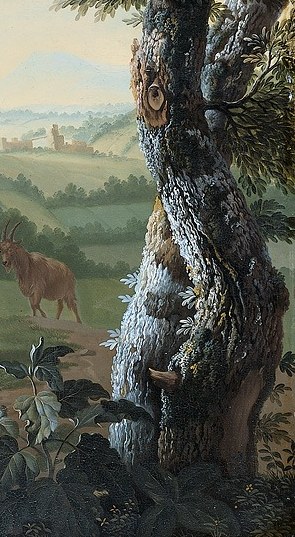 Even the bark on this ancient tree has texture you can almost feel.
