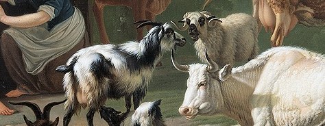 The goats have shaggy, individual coats.