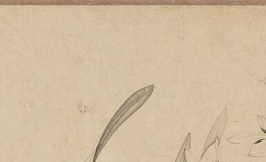 To a Song dynasty collector, this was audacious.