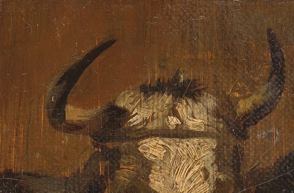 These prominent horns frame the cow's head and convey a sense of its physical presence and potential power.