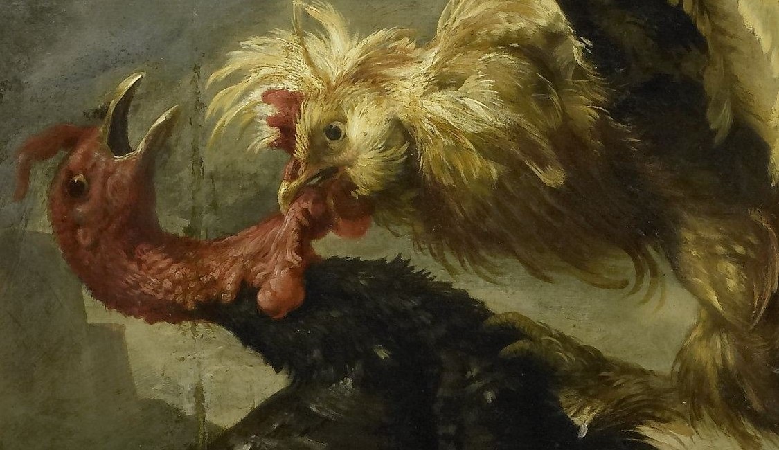 A rooster, wings spread, launches a fierce attack.