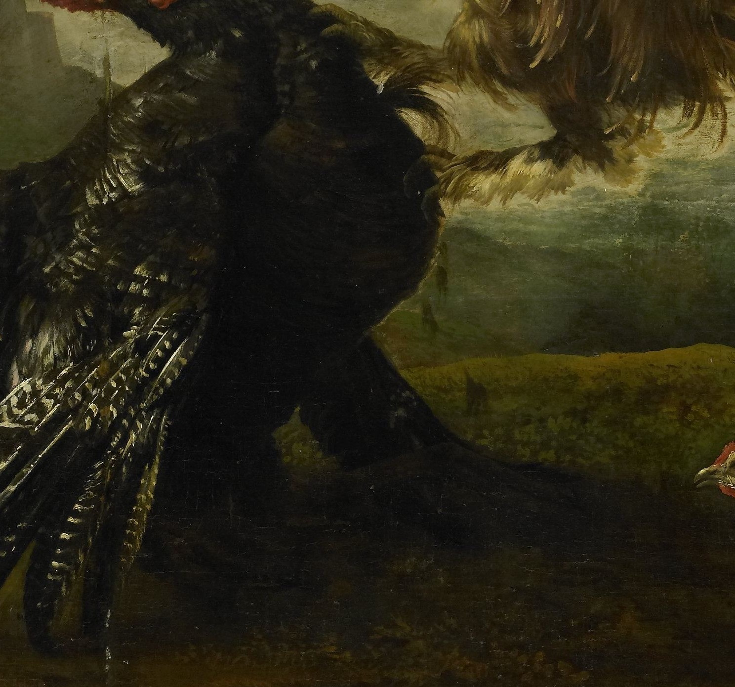 The sheer size and dark plumage of the turkey create a formidable presence, emphasizing its role as the target of the attack.