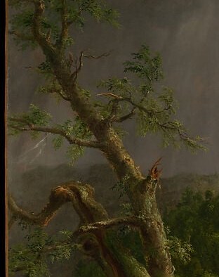 A Romantic emblem of wilderness power; its skeletal silhouette frames the entire panorama and rhymes with the storm above it