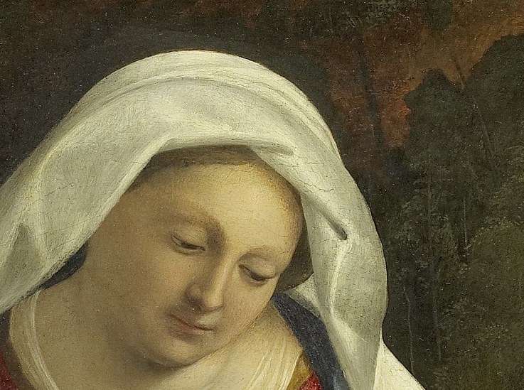 Mary holds her son with tender love.