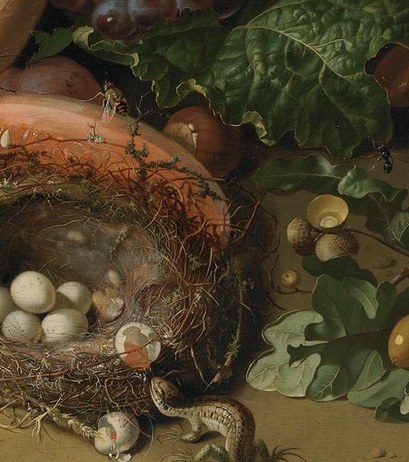 A bird's nest shows fragile new life.