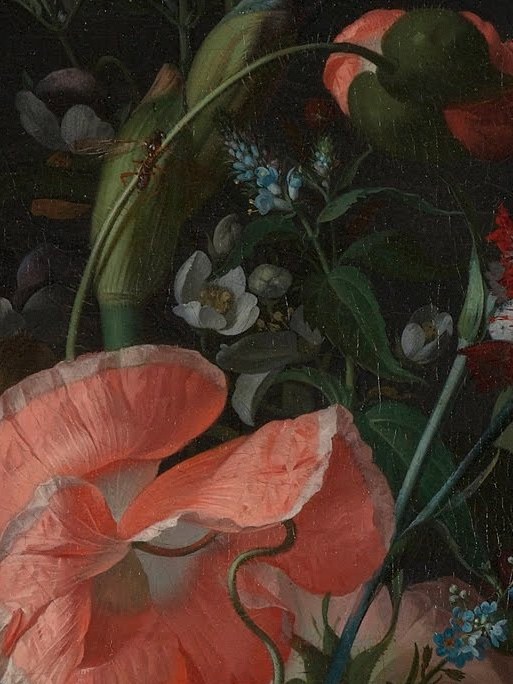 Acts as a warm chromatic counterpoint to the cool whites and pinks; its round face pulls the eye into the middle depth of the bouquet.