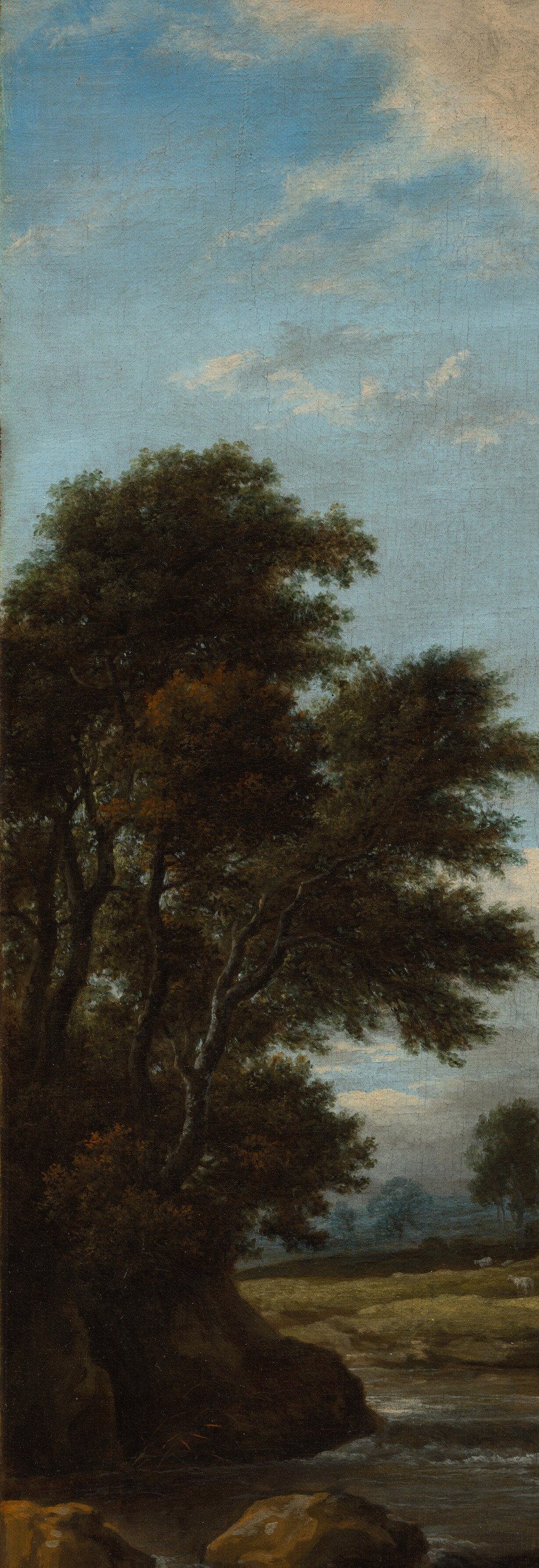Acts as a repoussoir framing device; the dark silhouette against bright sky is a classic Dutch compositional move , camera could trace bark texture upward to the sky break.