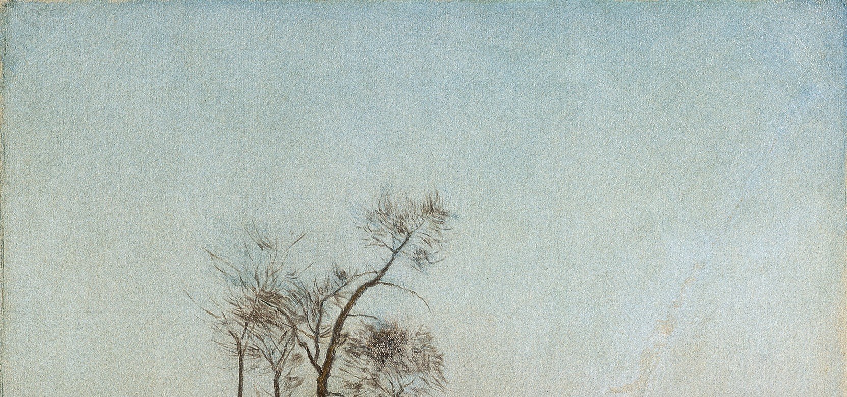 The soft, diffused light from the sky sets the mood and contributes to the overall feeling of a cold, quiet day.