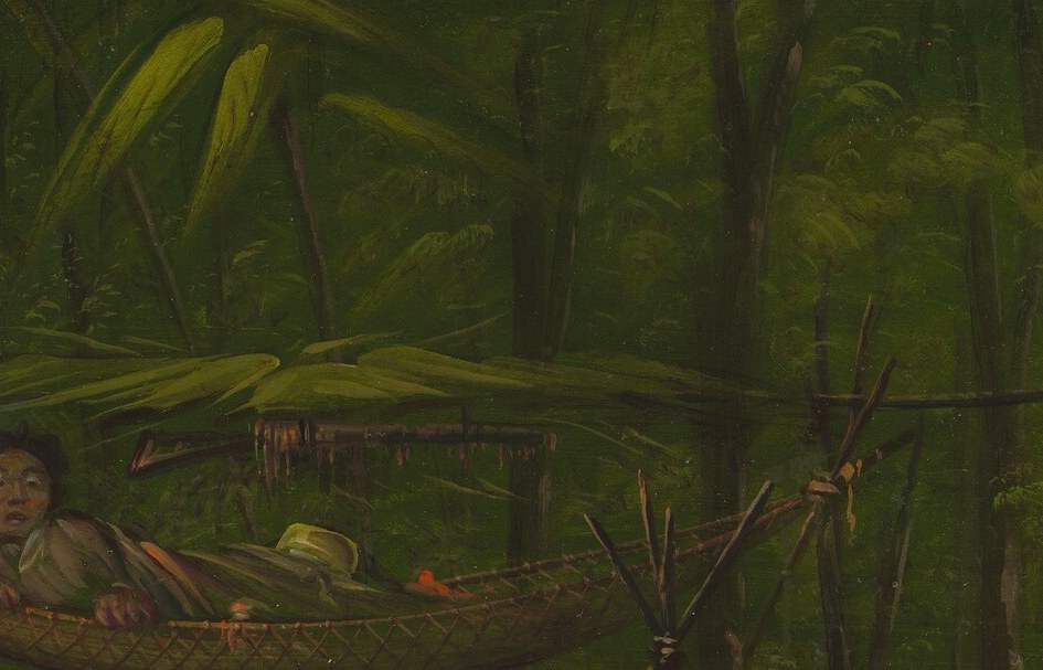 A lone man rests in a hammock, lost in the dense foliage.
