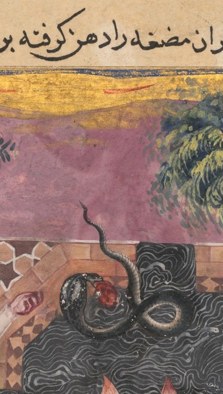 meant to be this cobra's meal.