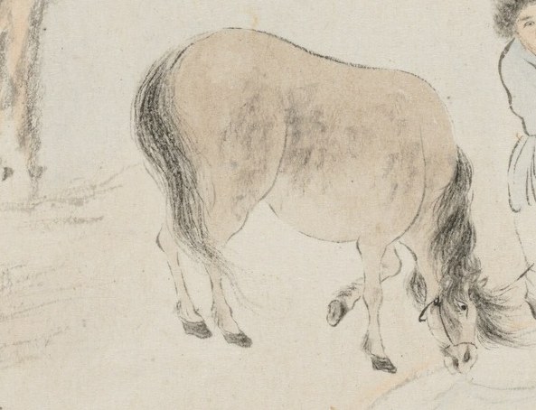 Look closely at the horse's body, a wash of color.