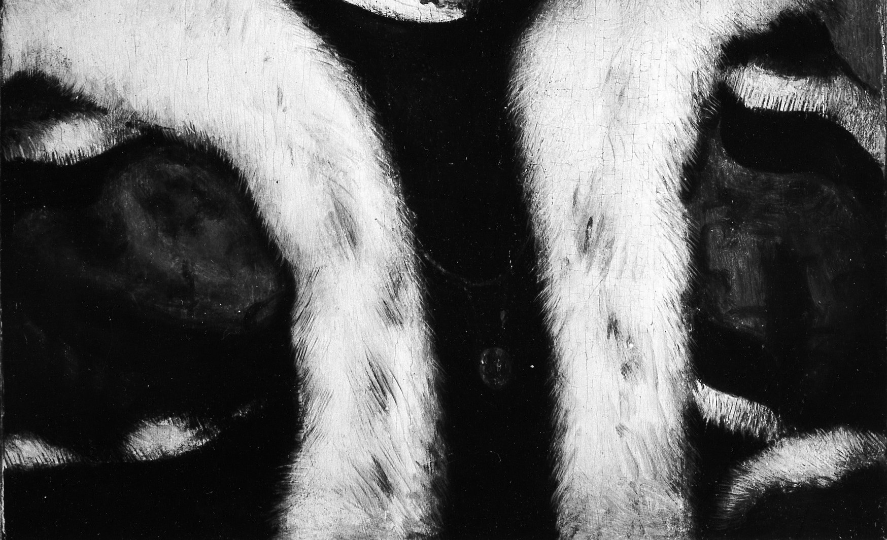 Beneath it, a massive collar of white fur.