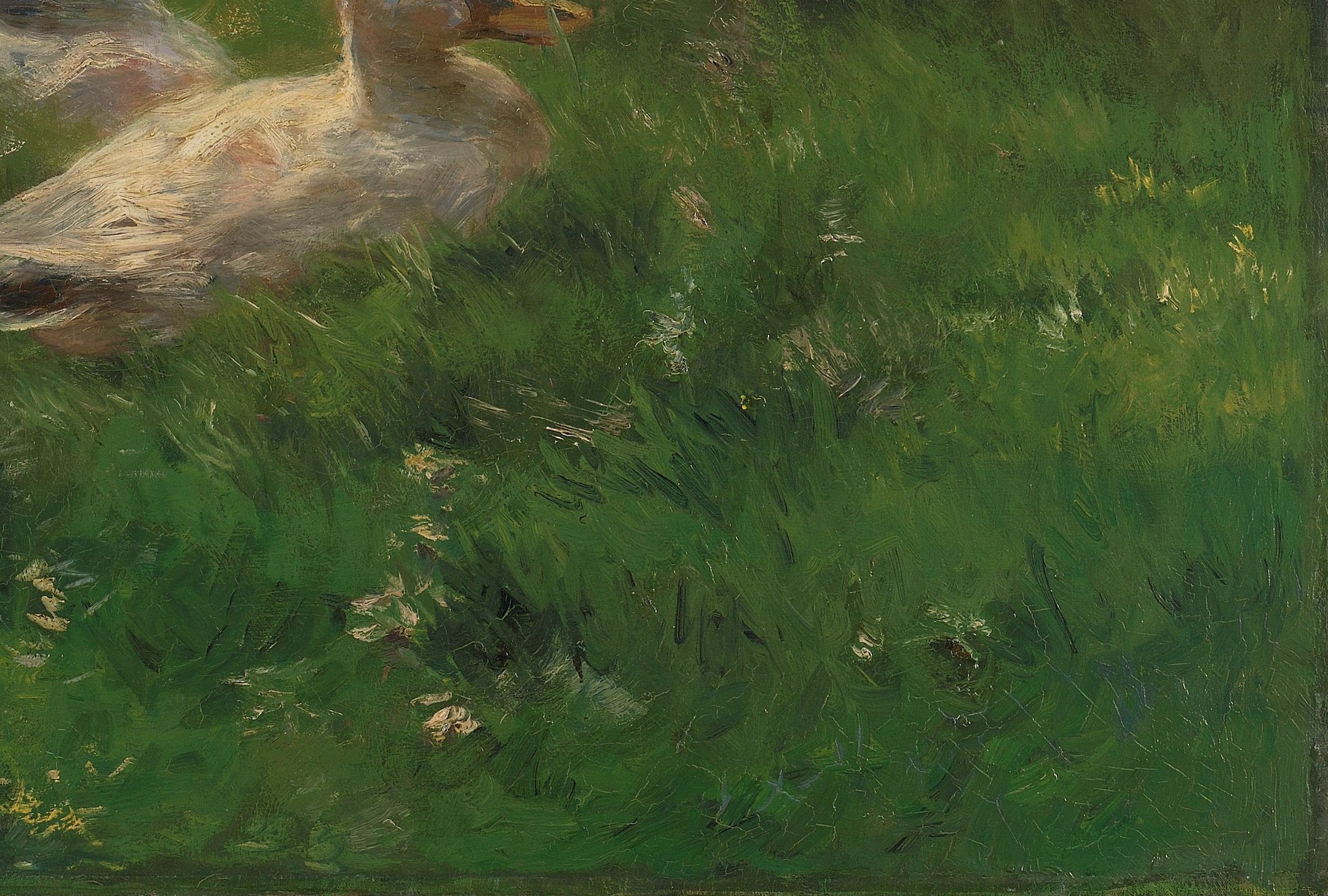 He focused on their quiet moments, like these ducks in the grass.