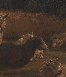 The flock feels alive with subtle shifts in light.