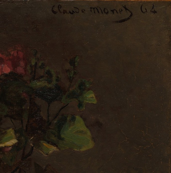 The dark background pushes the vibrant blooms forward.
