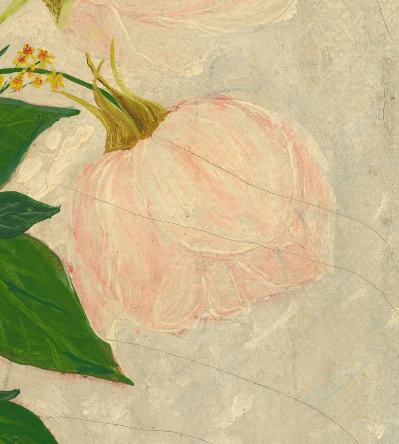 Two pink roses lean against the background.