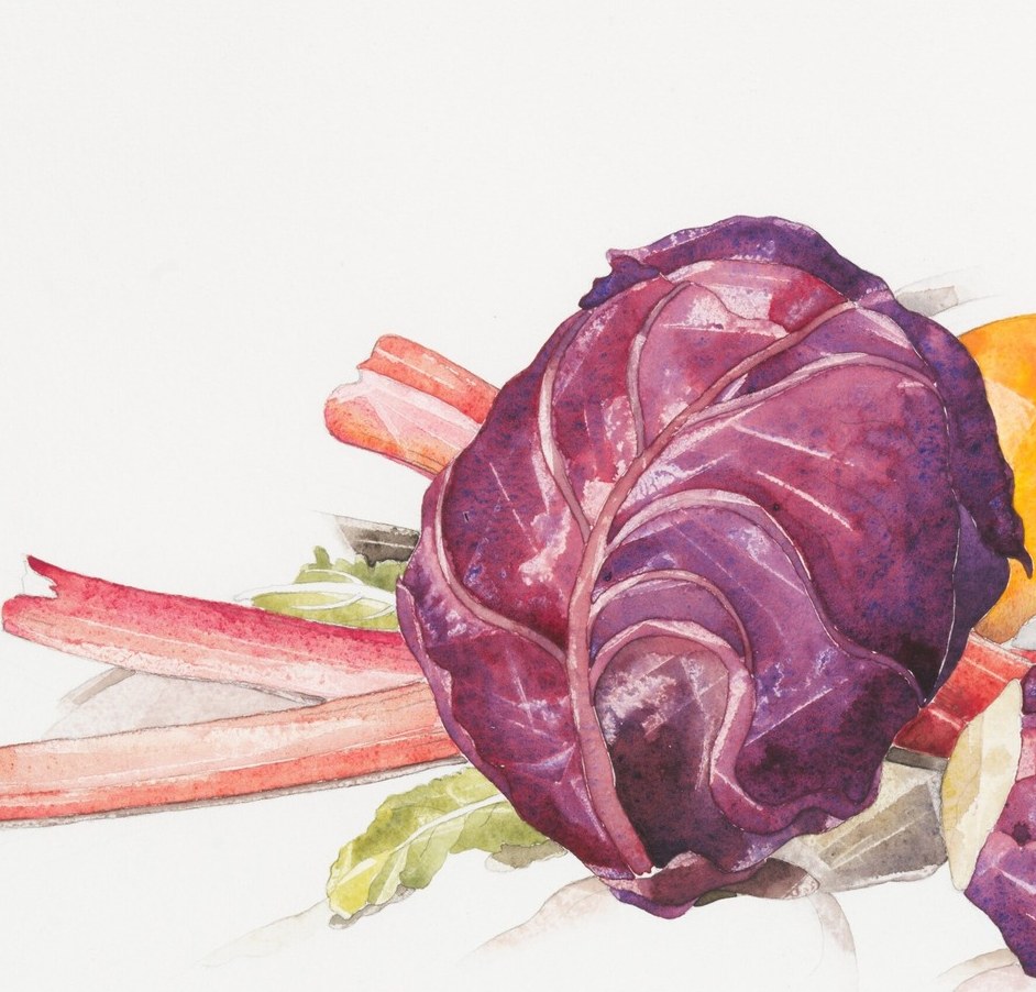 Dominant mass of the composition; tightly layered leaves create a near-floral rosette of deep violet-purple , the structural anchor the eye returns to.