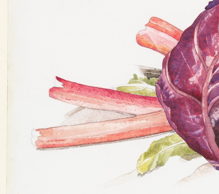 Long magenta-to-green stalks extend beyond the cabbage mass, introducing linear energy into the round-form composition and showing the plant's natural gradient.