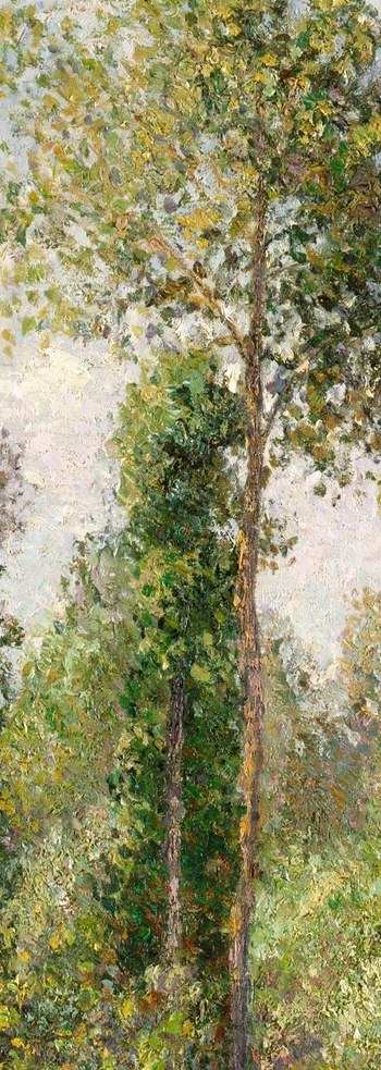 Sunlight fell on his garden. His paintings waited in the dark.