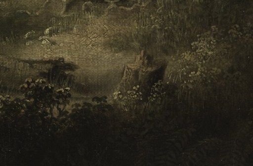 The intricate detail and texture of the roots convey the age and resilience of nature.