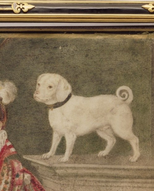 Her little dog sat on the table, a sign she meant to stay.