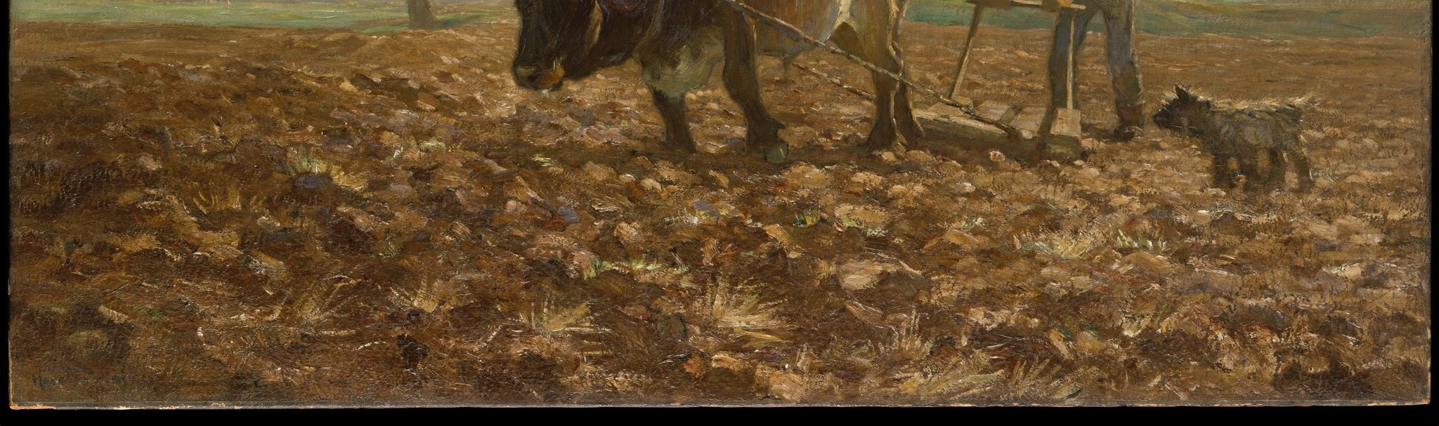 Look closely at the dark, freshly furrowed earth.
