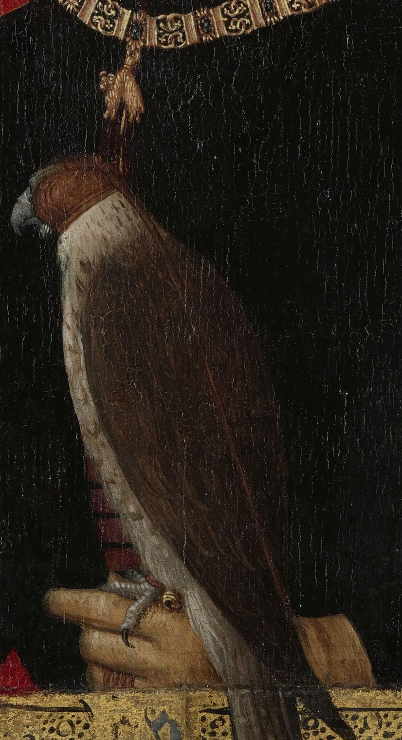 The falcon on his hand shows his noble authority.