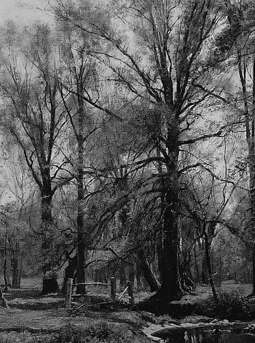 This kind of tranquil scene was his lifelong passion.