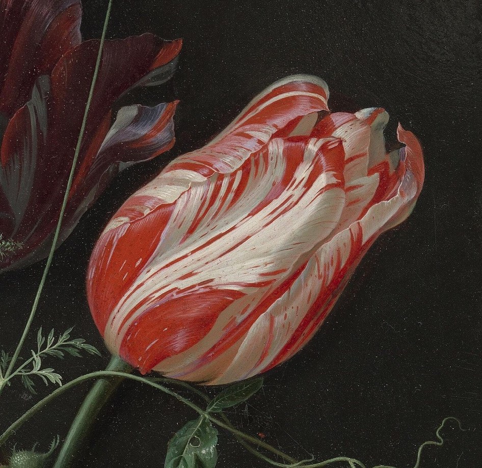 The striking variegation of this tulip highlights the artist's skill in rendering complex patterns and textures.
