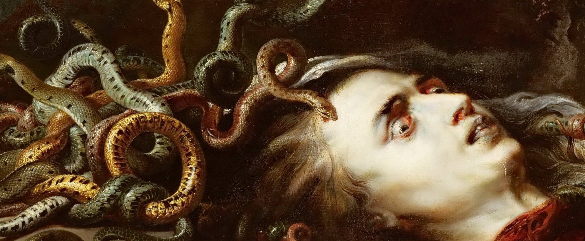 Snakes are her hair. See how they writhe?