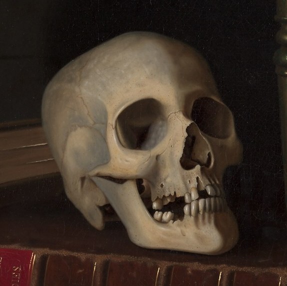A human skull is placed among scholarly books.
