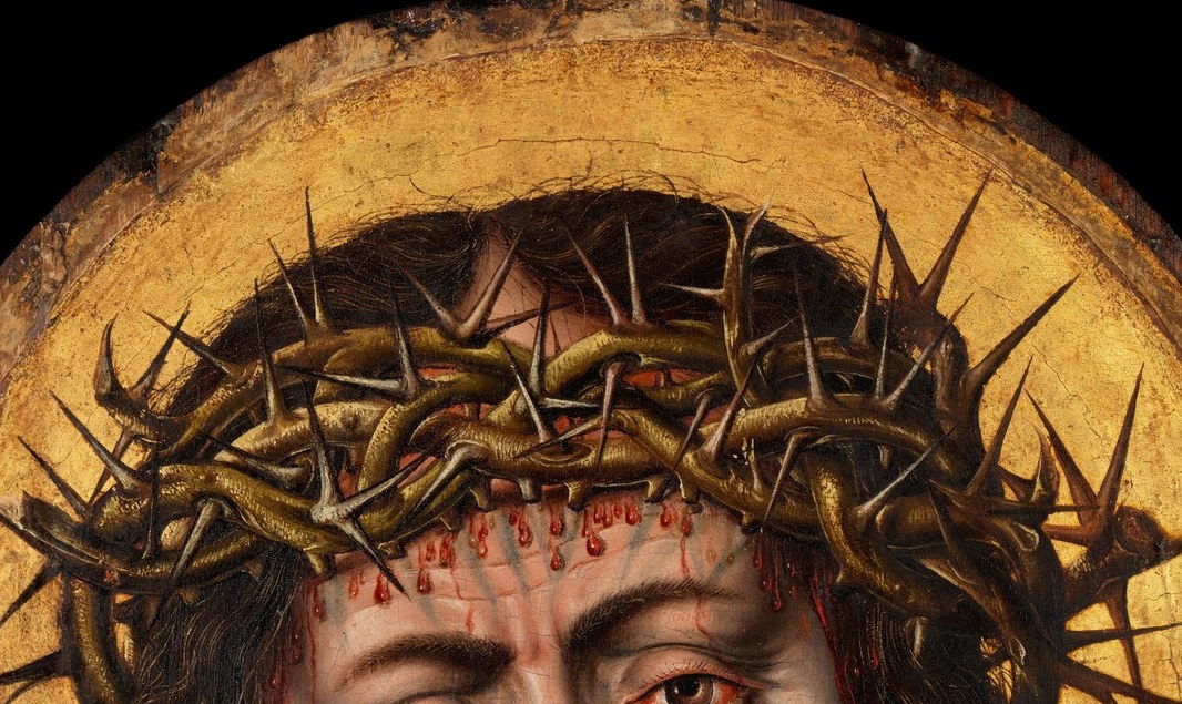 Bouts tracked every thorn. Each has its own sharp highlight.