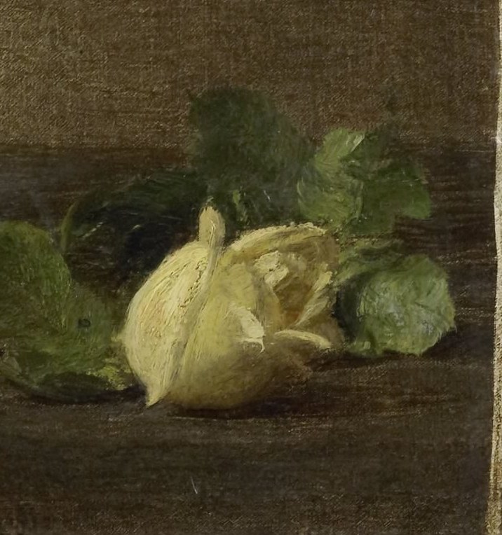 A single rose has fallen, resting on the table.
