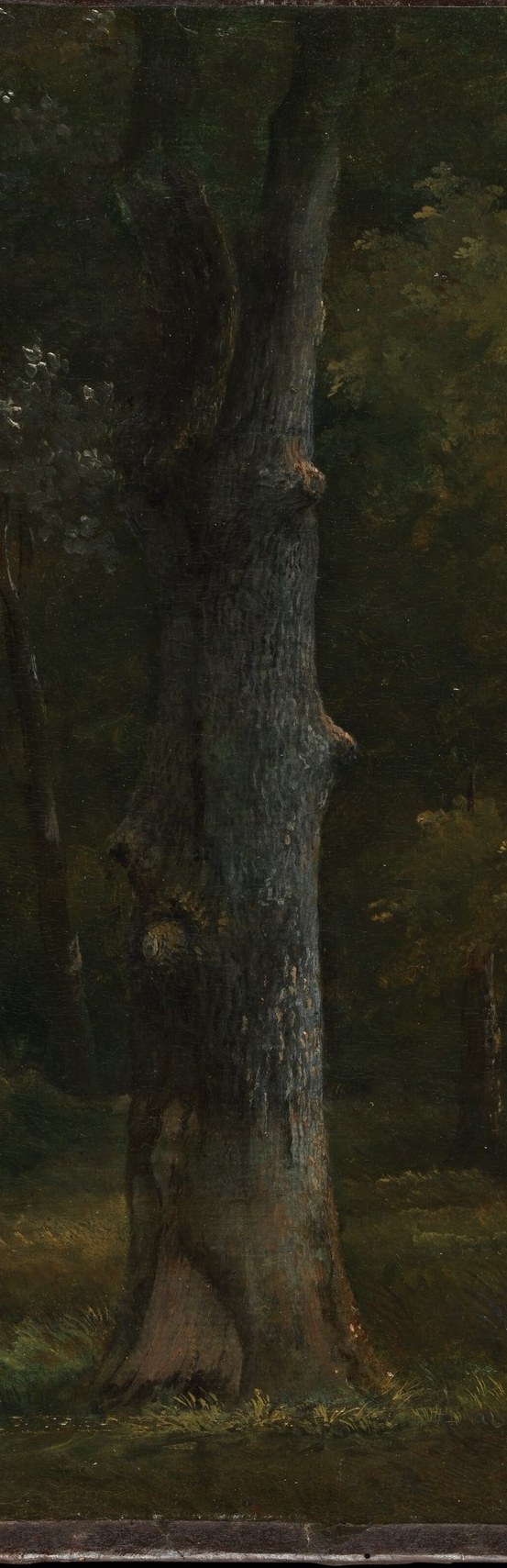In 1817, he won the very first Prix de Rome for landscape.