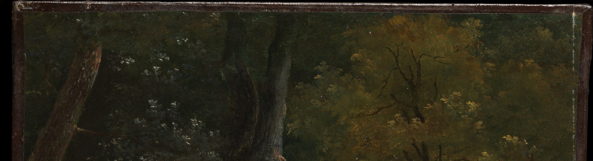 Michallon uses overlapping planes of dark and lighter green to suggest a closed-in canopy; subtle sky light filters through the gaps, establishing the nocturnal-dusk ambiance.