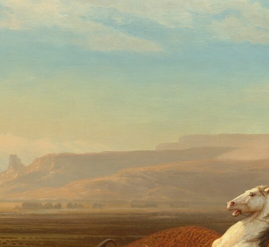 The protagonist of the narrative; his arm and lance angle downward toward the buffalo, making him the arrow that drives the viewer's gaze into the conflict below.
