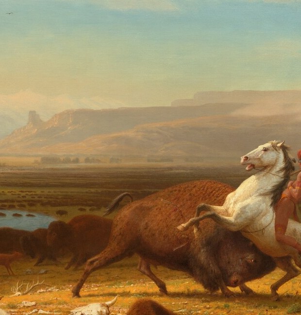 The compositional fulcrum , rearing vertically against the dark charging buffalo creates maximum dramatic tension and anchors every eye line in the picture.