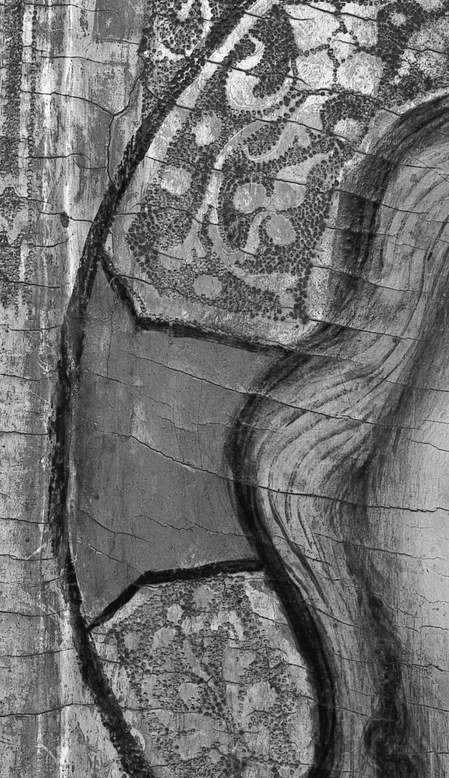 On the left, notice the delicate, repeating floral patterns.
