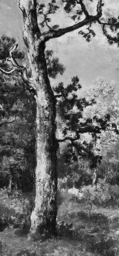They focused on landscapes as subjects in their own right.