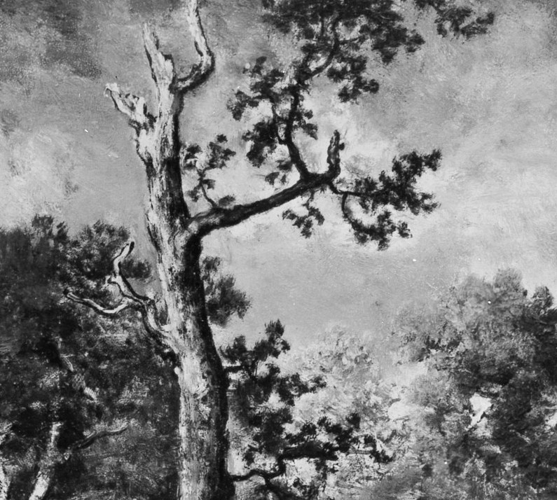 He was part of the Barbizon School, who painted outdoors.
