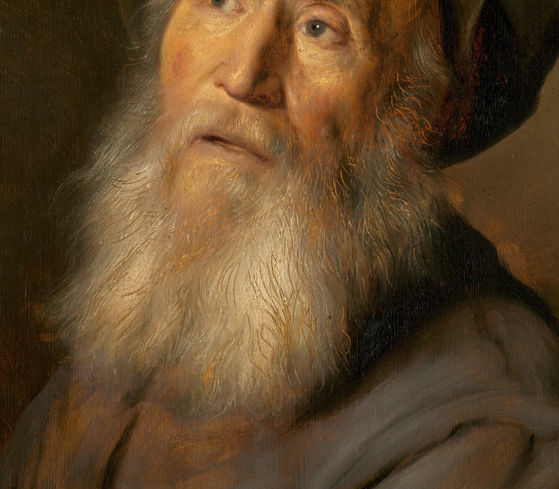 The beard's voluminous white mass is rendered with extraordinary brushwork , individual hairs visible in highlights , and occupies nearly a third of the canvas