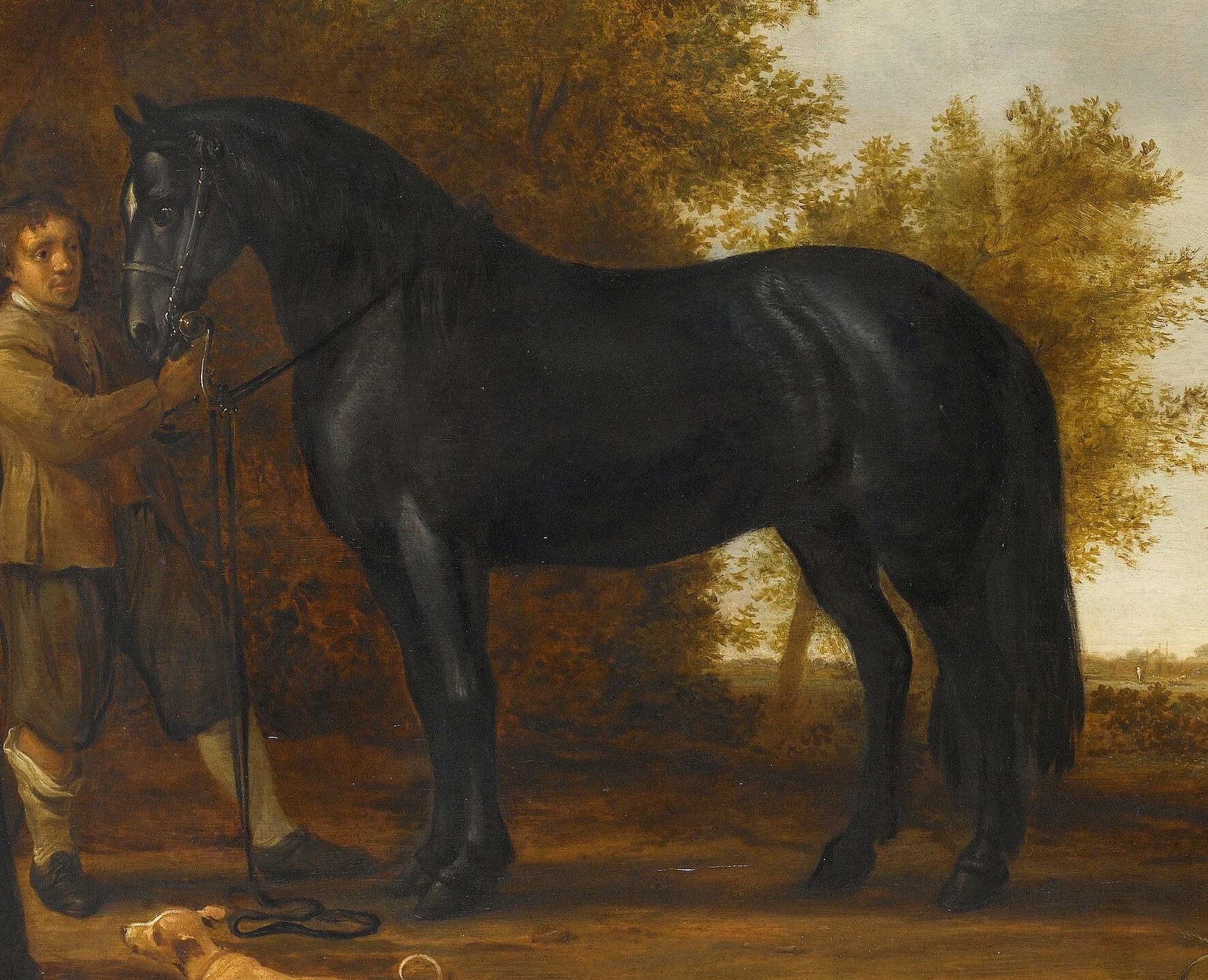 Only the richest could afford a black horse like this one.