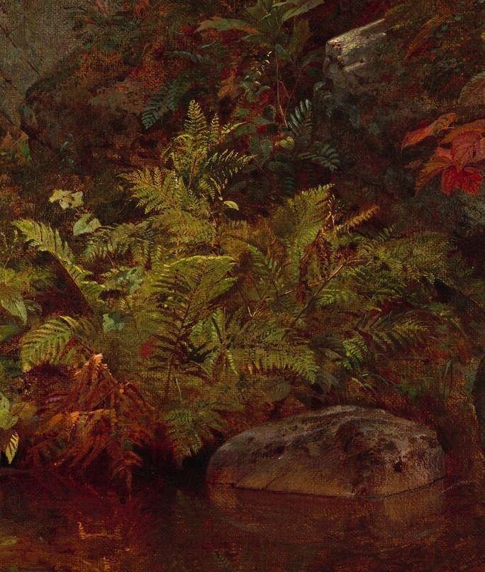 Or the intricate fern fronds in the midground.