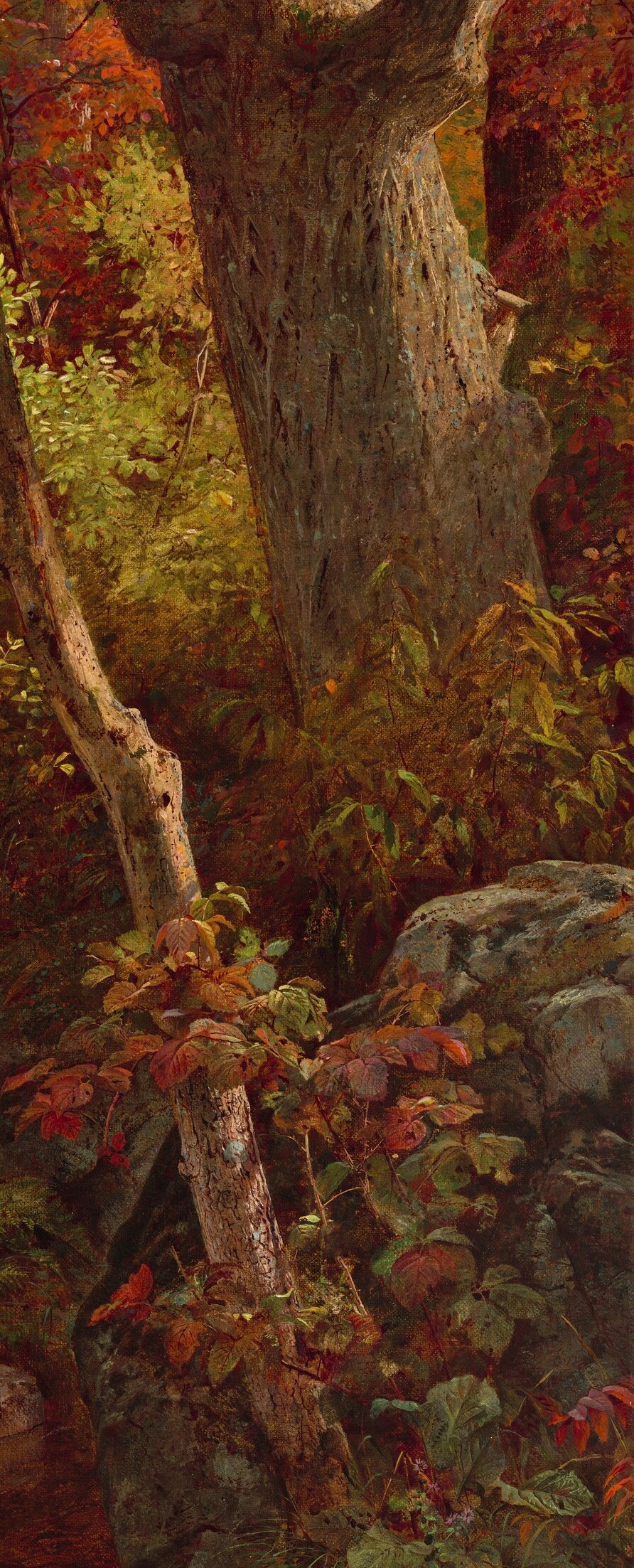 Its rough texture and imposing size suggest age and resilience, anchoring the right side of the composition.