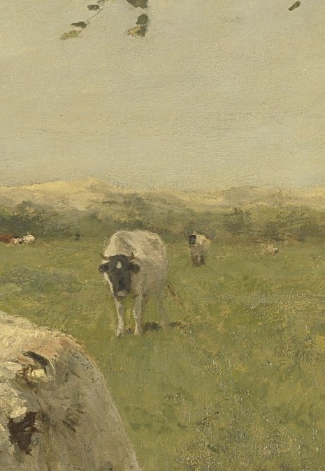 There is another cow back there.
