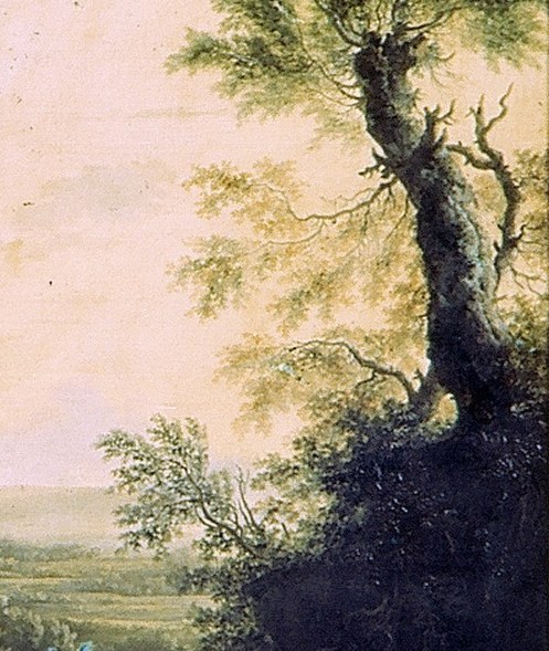 See the solitary tree reaching skyward.