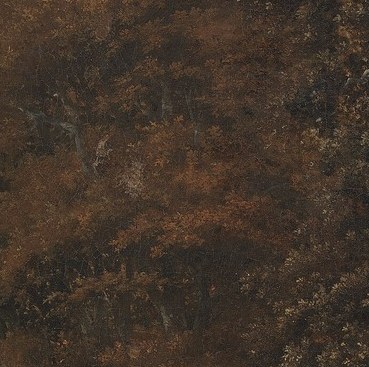 See how light breaks through the dense, dark canopy.