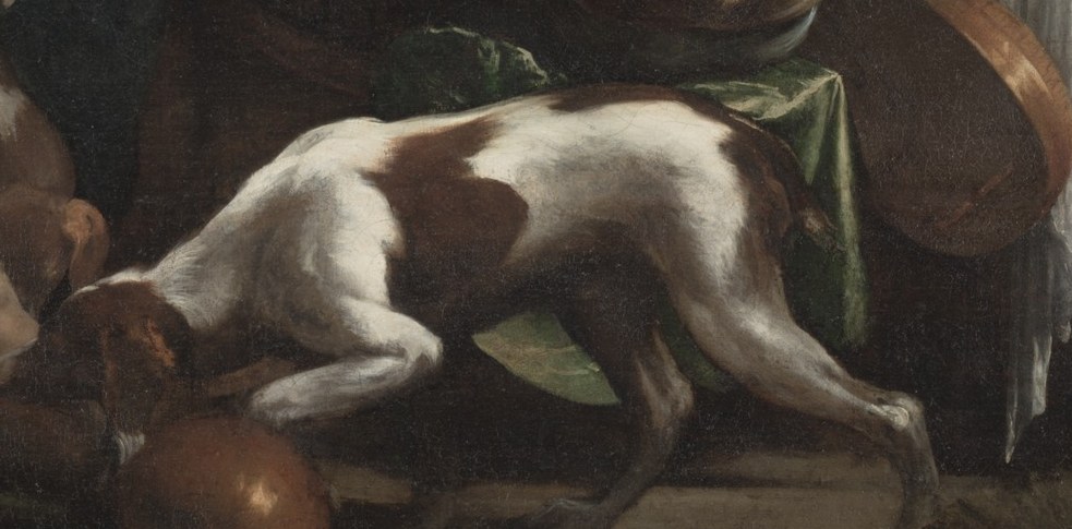 This dog eats what Lazarus could not.